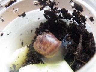 DSCF2078