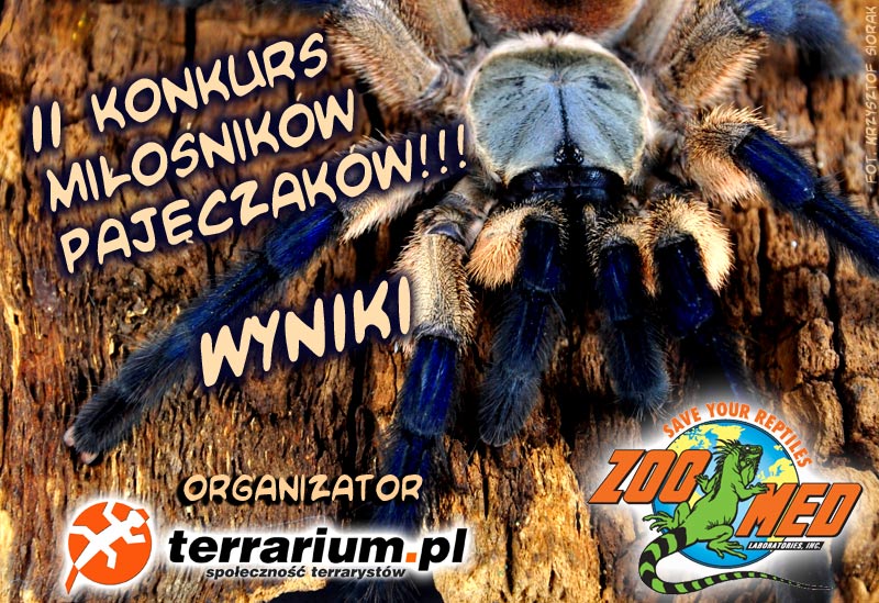 konkurs_ptaszniki_2016_wyniki.jpg