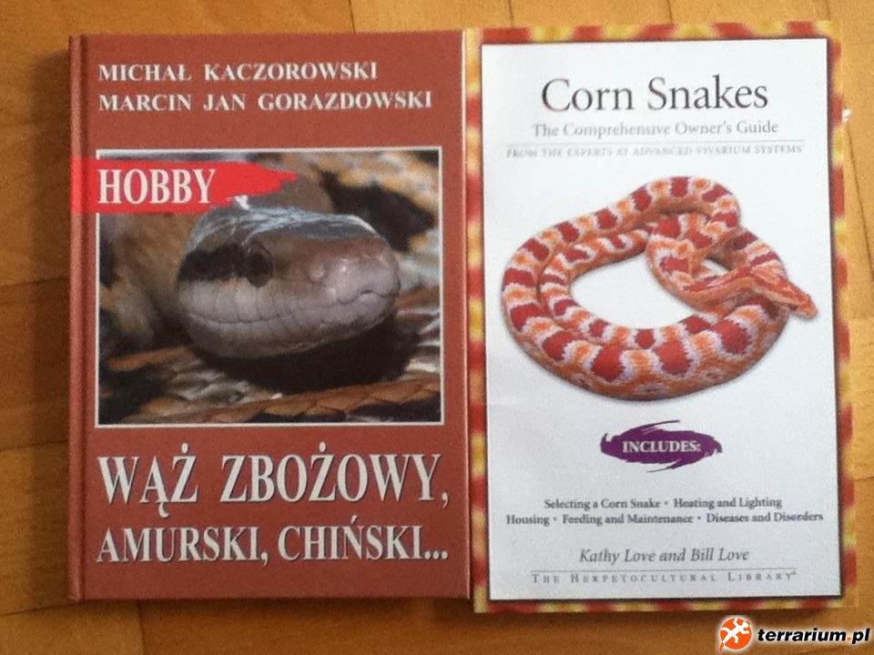 Kopalnia wiedzy