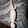 DSC03156
