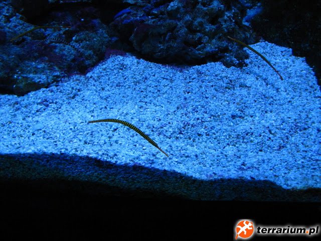 IMG_5815.JPG