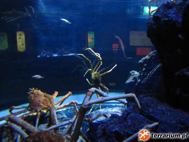 IMG_5804.JPG