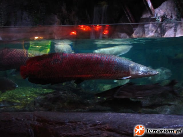 IMG_5831.JPG
