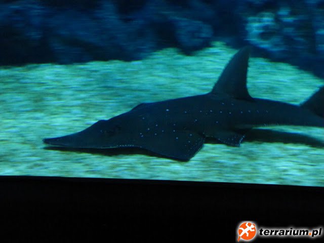 IMG_5843.JPG