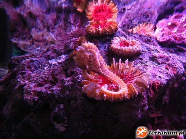 IMG_5820.JPG
