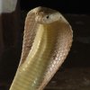 IMG 5918