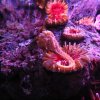IMG_5820.JPG