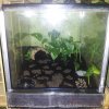 Smithi 30x30x40