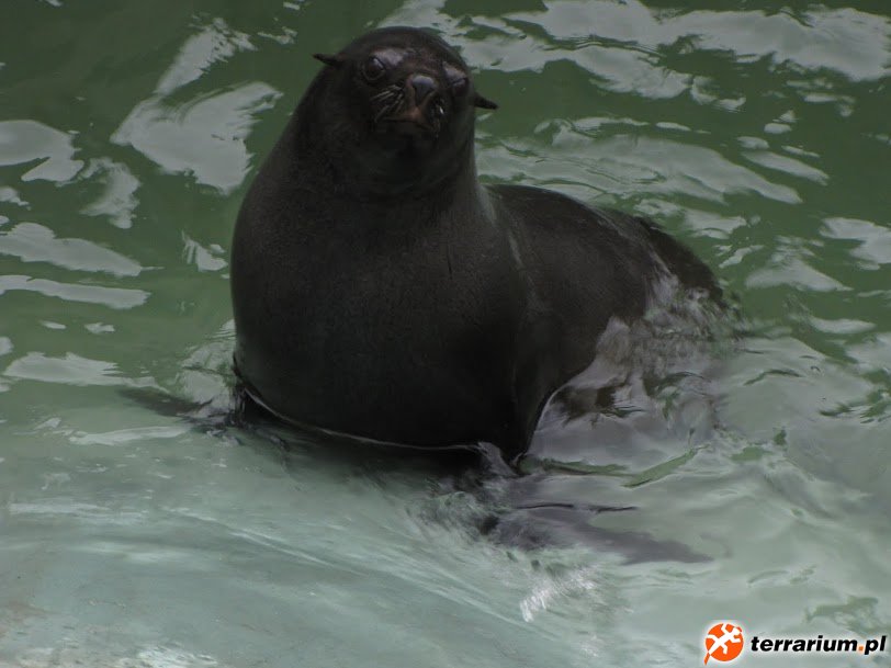 Zoo Brno