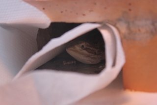 IMG_7362.jpg IMG_7362.jpg