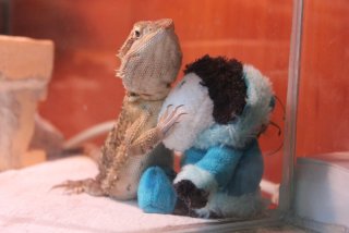 IMG_7952.jpg IMG_7952.jpg