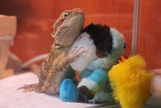 IMG_7944.jpg IMG_7944.jpg