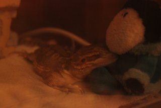 IMG_7965.jpg IMG_7965.jpg