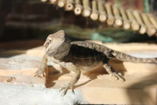 IMG_7402.jpg IMG_7402.jpg