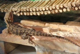 IMG_7392.jpg IMG_7392.jpg