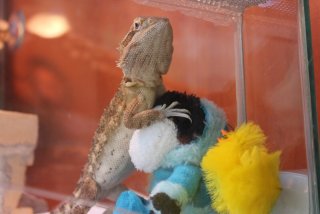 IMG_7918.jpg IMG_7918.jpg