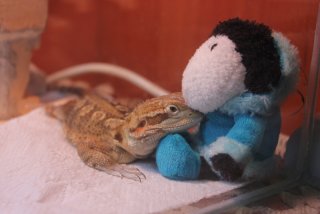 IMG_7977.jpg IMG_7977.jpg