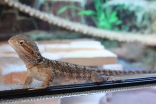 IMG_7983.jpg IMG_7983.jpg