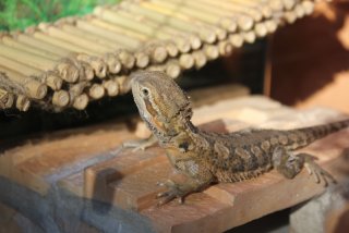 IMG_7395.jpg IMG_7395.jpg