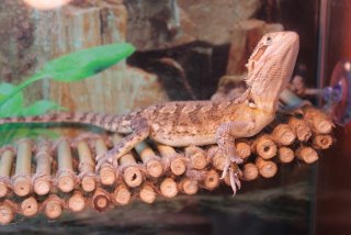 IMG_7190.jpg IMG_7190.jpg