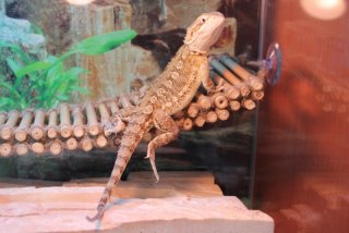 IMG_7988.jpg IMG_7988.jpg