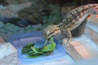 IMG_7281.jpg IMG_7281.jpg