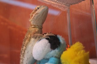 IMG_7916.jpg IMG_7916.jpg