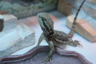 IMG_7397.jpg IMG_7397.jpg