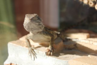 IMG_7435.jpg IMG_7435.jpg