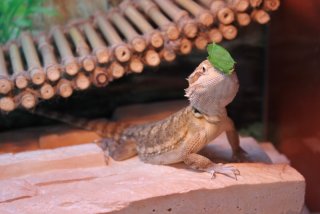 IMG_7929.jpg IMG_7929.jpg