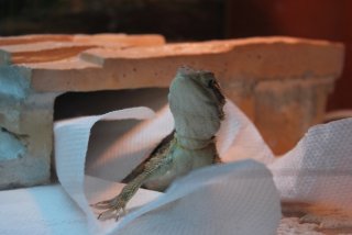 IMG_7383.jpg IMG_7383.jpg