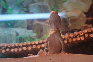 IMG_7162.jpg IMG_7162.jpg