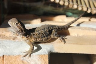 IMG_7413.jpg IMG_7413.jpg