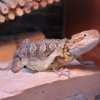 IMG 7850