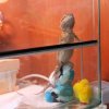 IMG 7853