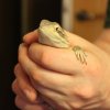 IMG 7596