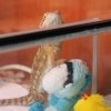 IMG 7889