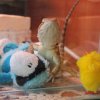 IMG 7881