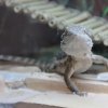 IMG 7573