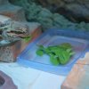 IMG 7558
