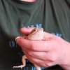 IMG 8061