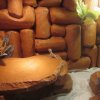 Filipek poznaje swoje terrarium