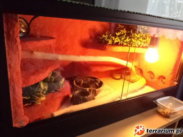 Terrarium.