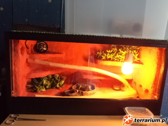 Terrarium.
