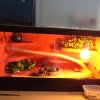 Terrarium.