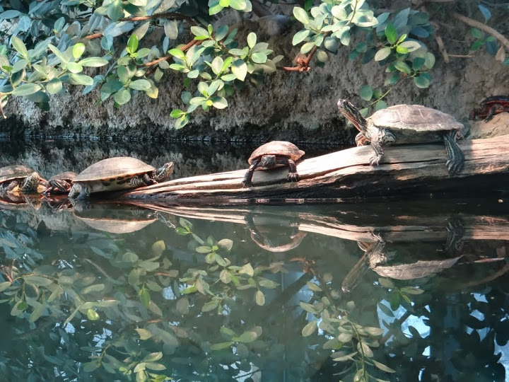 DSC05465