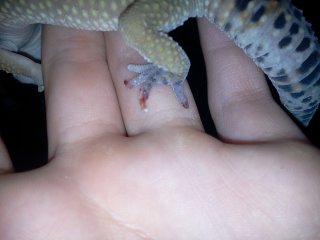 Zdjęcie0250 Zdjęcie0250