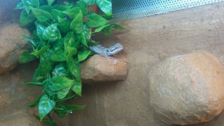 29.03.2013 29.03.2013