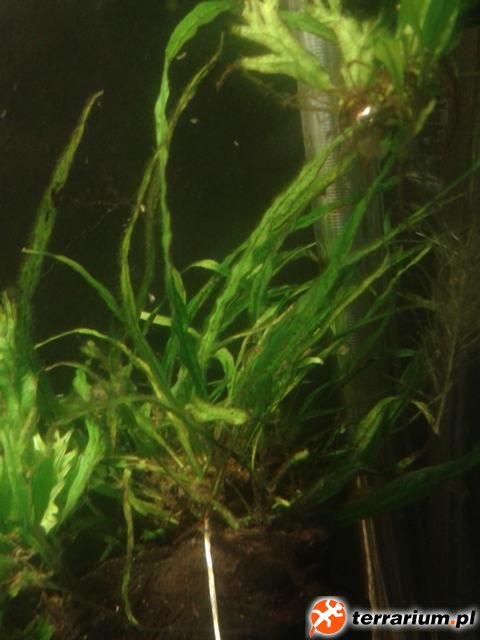 2013 04 06 13.03.49
