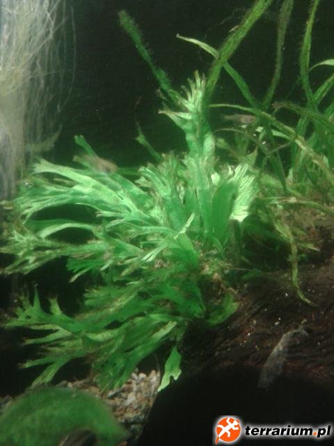 2013 04 06 13.03.06